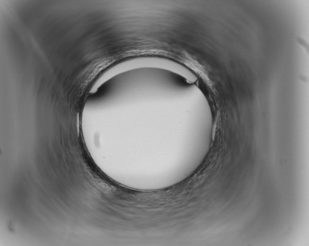 X0000095890013200802081128