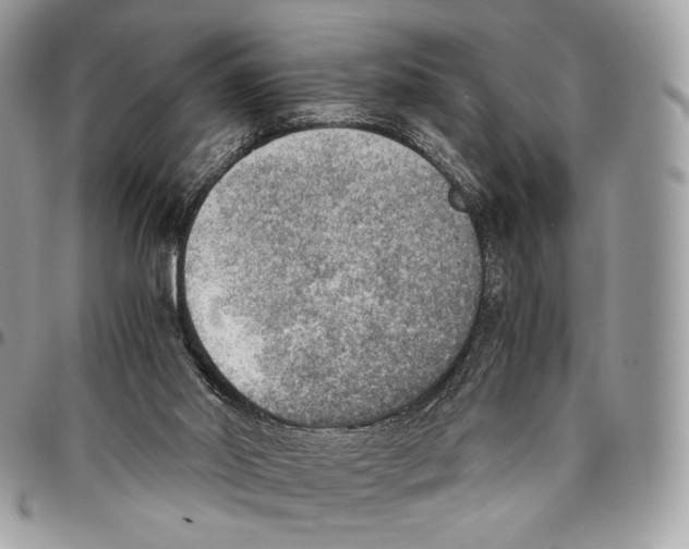 X0000095890014200802081128
