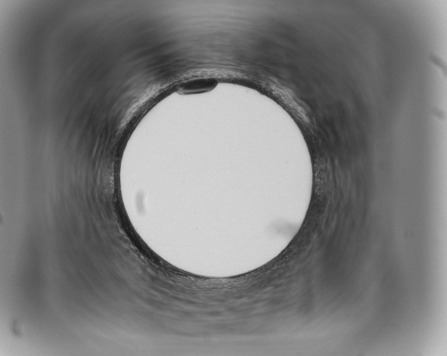 X0000095890015200802081128