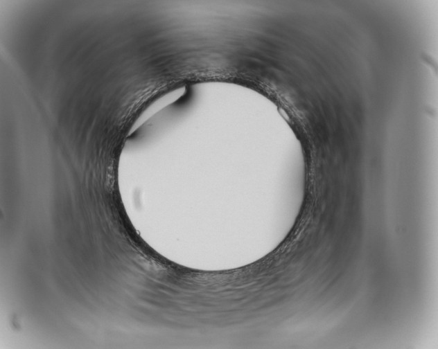 X0000095890017200802081128