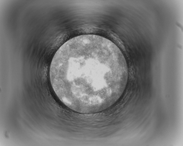 X0000095890018200802081128