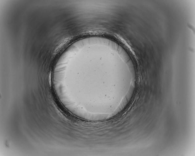 X0000095890019200802081128