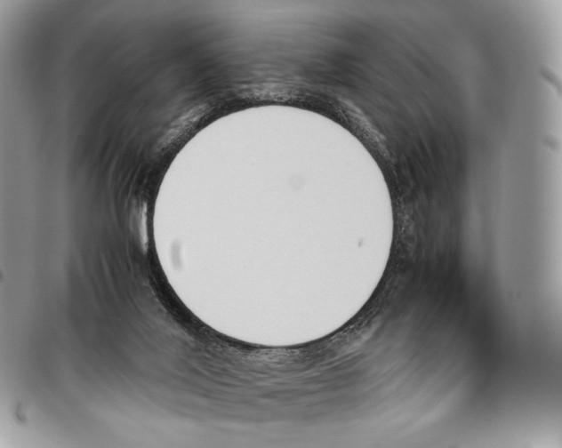 X0000095890020200802081128