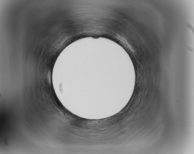 X0000095890021200802081128