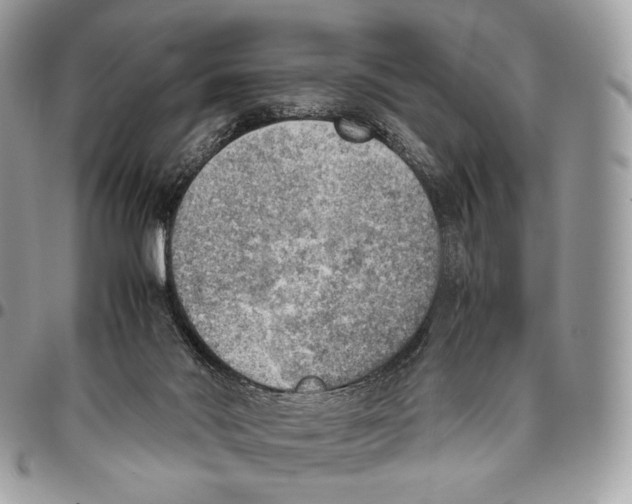 X0000095890022200802081127