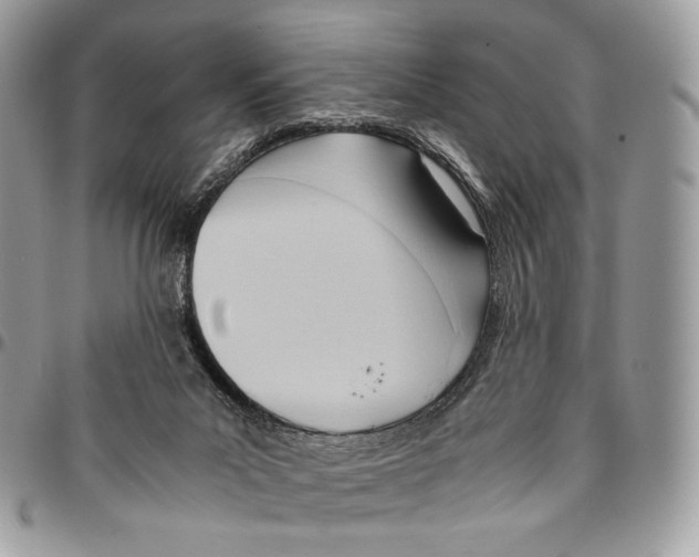 X0000095890023200802081127