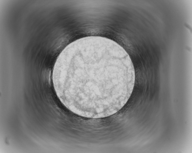 X0000095890024200802081127
