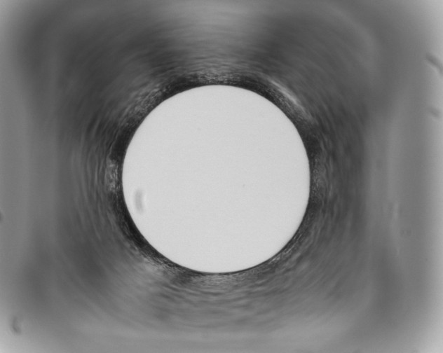 X0000095890025200802081127