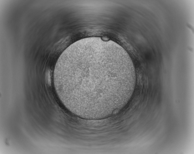 X0000095890026200802081127