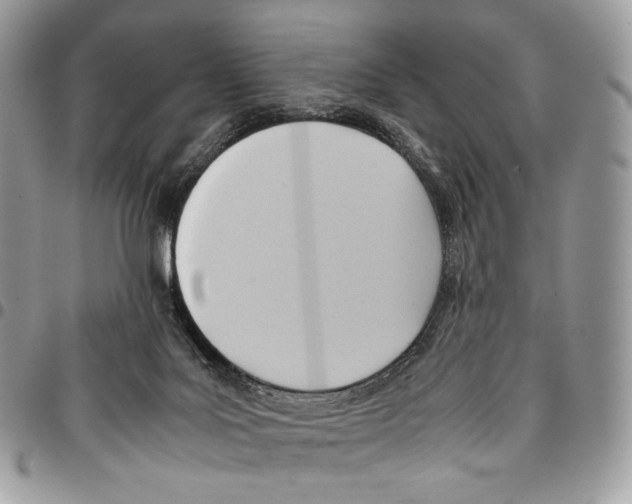 X0000095890027200802081127