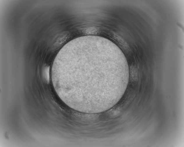 X0000095890028200802081127