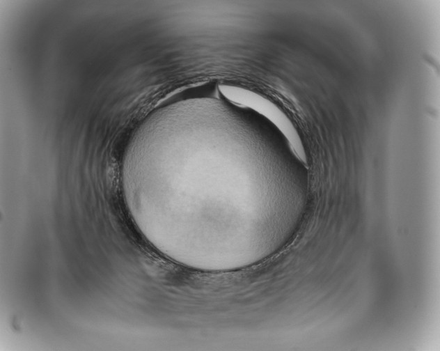 X0000095890029200802081127