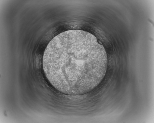 X0000095890030200802081127