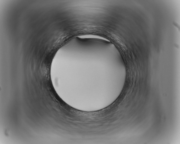 X0000095890031200802081127