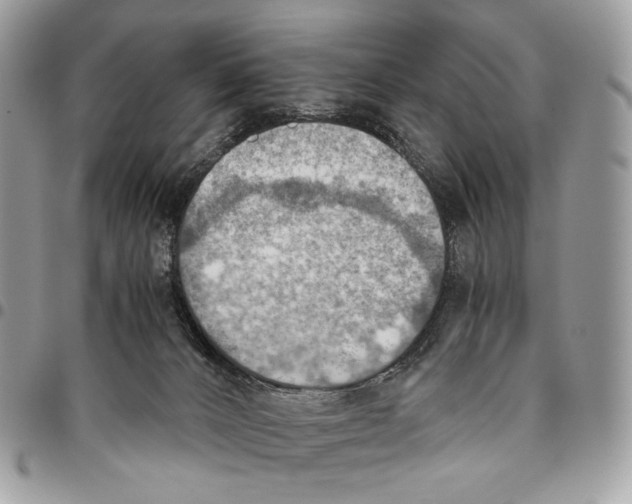 X0000095890032200802081127
