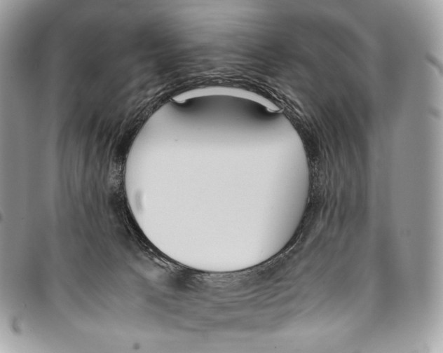 X0000095890033200802081127
