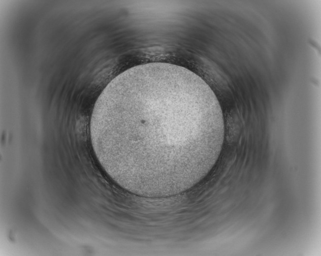 X0000095890034200802081127