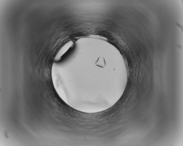 X0000095890035200802081127