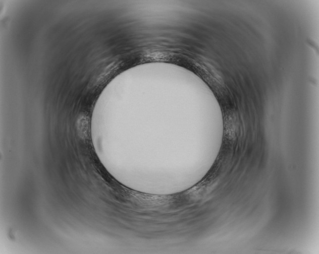 X0000095890036200802081127