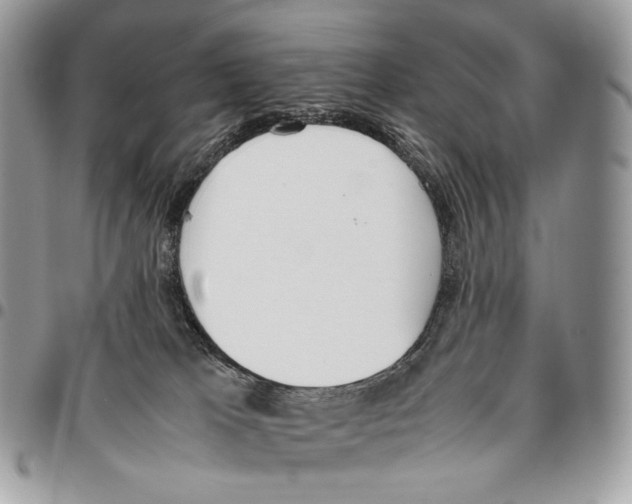 X0000095890037200802081127