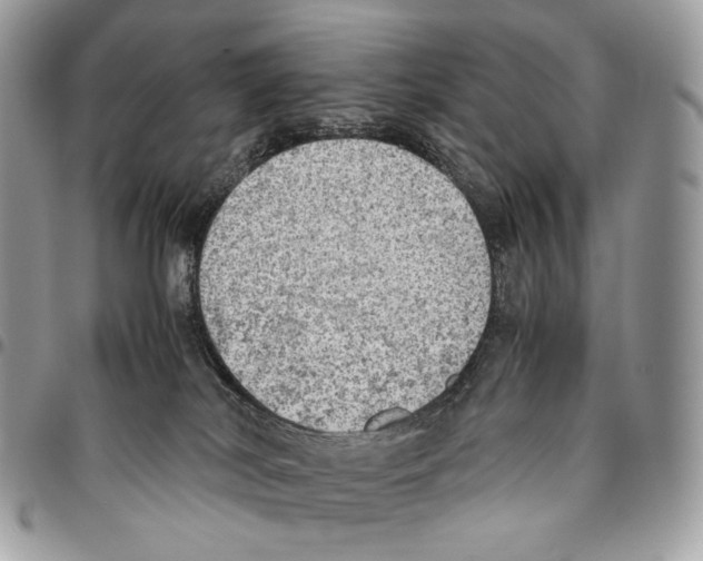 X0000095890038200802081127