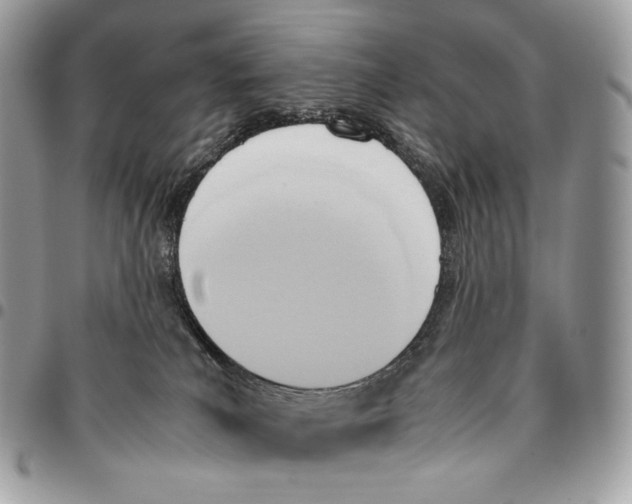 X0000095890039200802081127