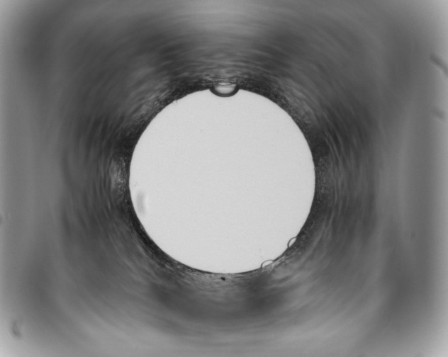 X0000095890040200802081127