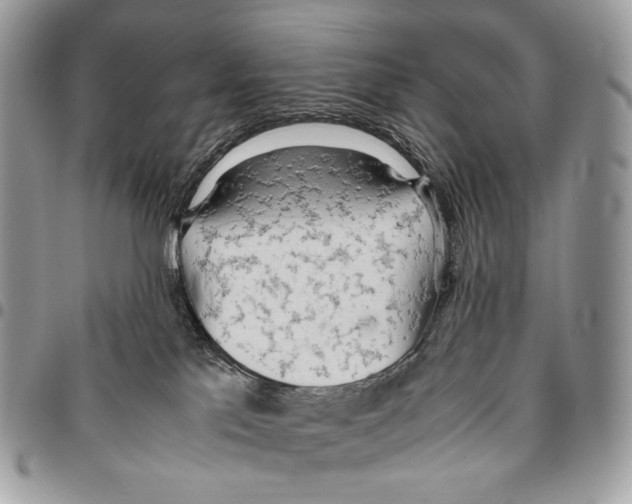 X0000095890041200802081127