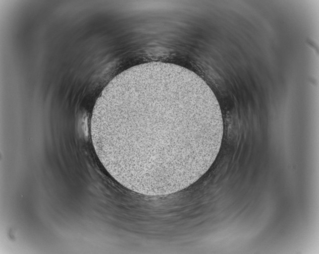 X0000095890042200802081127
