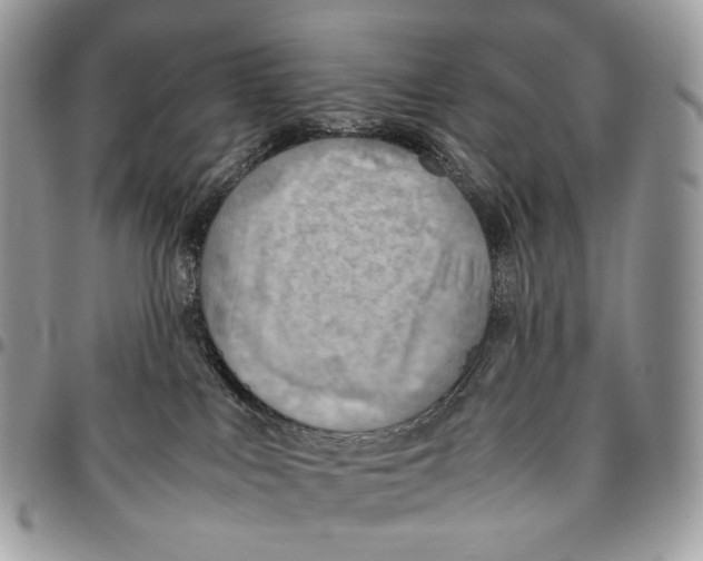 X0000095890043200802081127