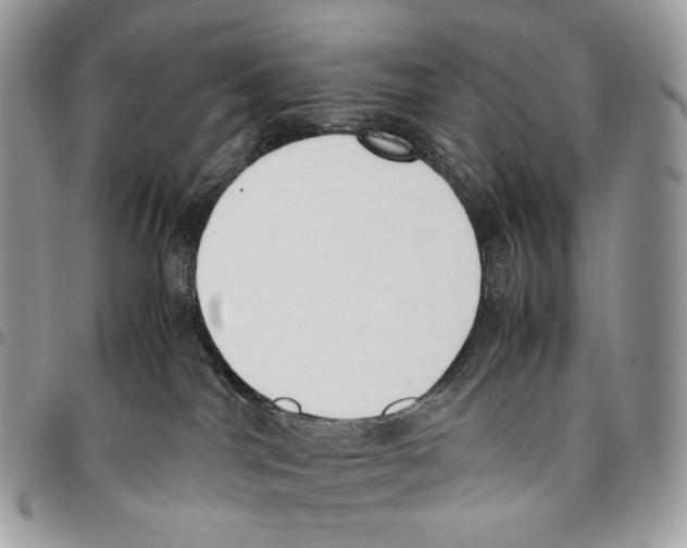 X0000095890044200802081127