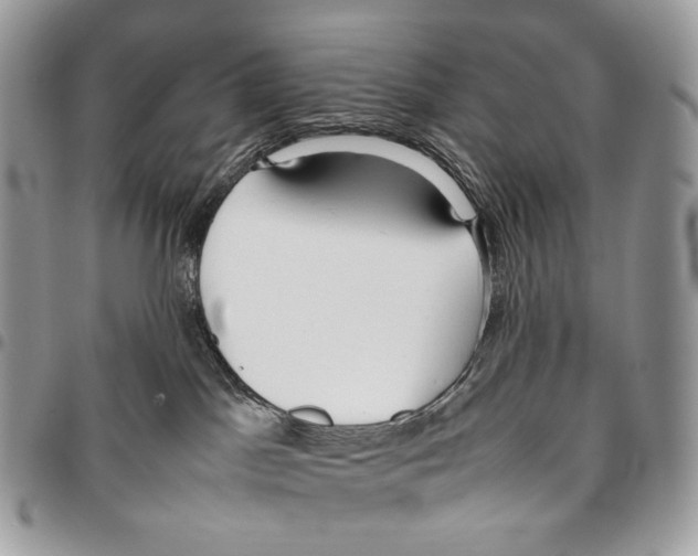 X0000095890045200802081127