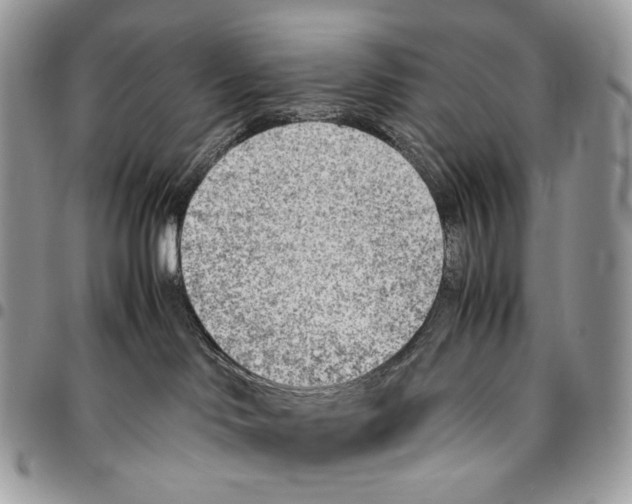 X0000095890046200802081127