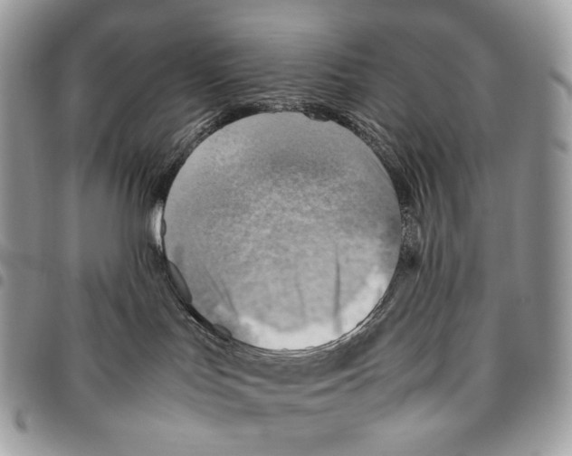 X0000095890047200802081127