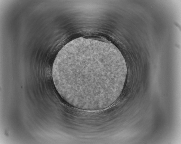 X0000095890048200802081127