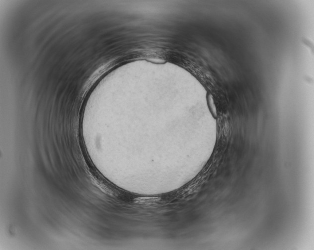 X0000095890051200802081127