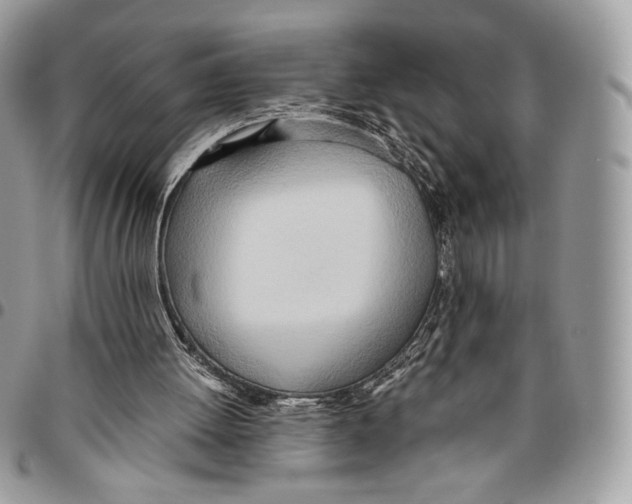 X0000095890052200802081127