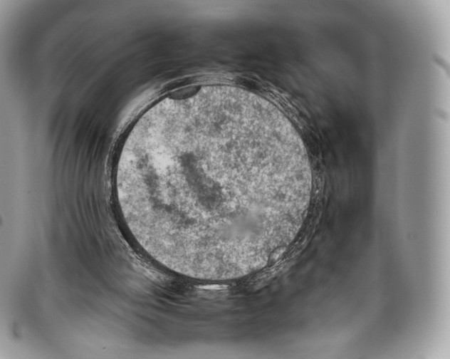 X0000095890053200802081127