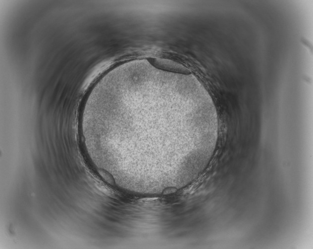 X0000095890054200802081127