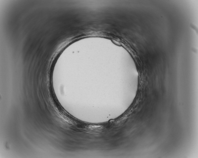X0000095890055200802081127