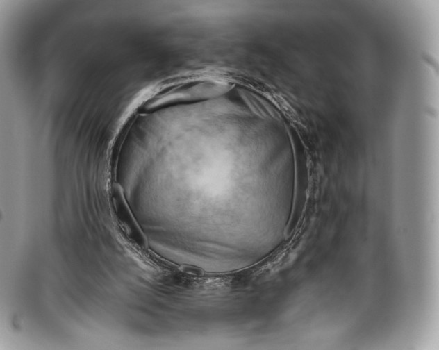 X0000095890056200802081127