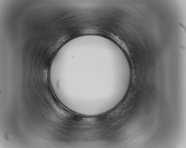 X0000095890057200802081127