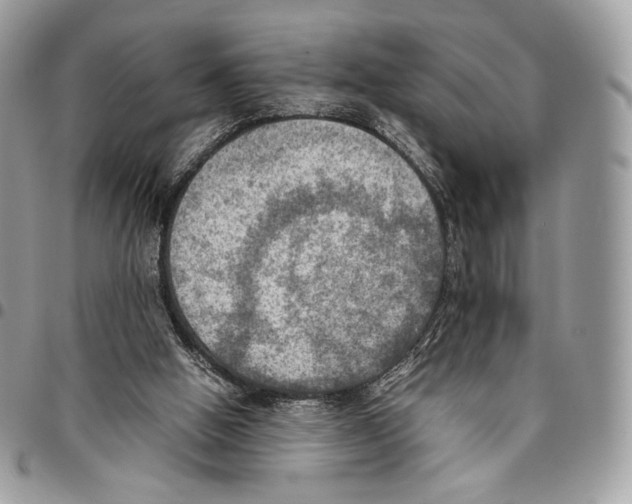 X0000095890058200802081127
