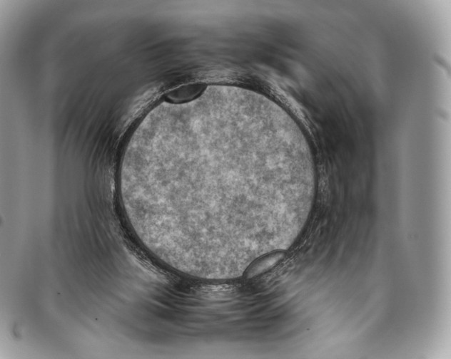 X0000095890059200802081127