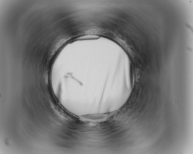 X0000095890060200802081127