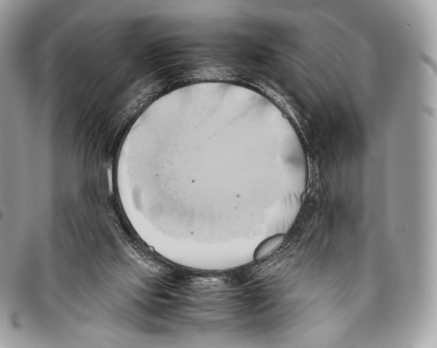 X0000095890061200802081127