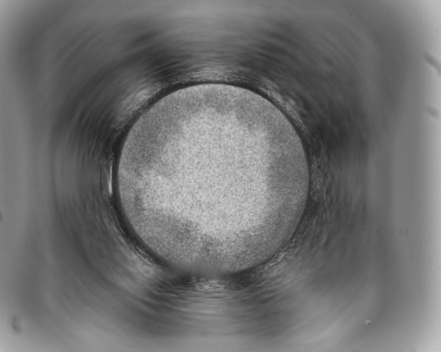 X0000095890062200802081127