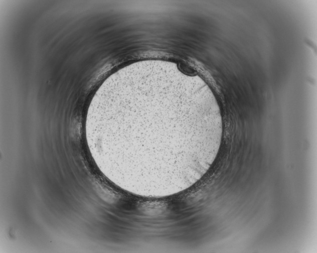 X0000095890063200802081127