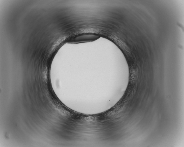 X0000095890064200802081127