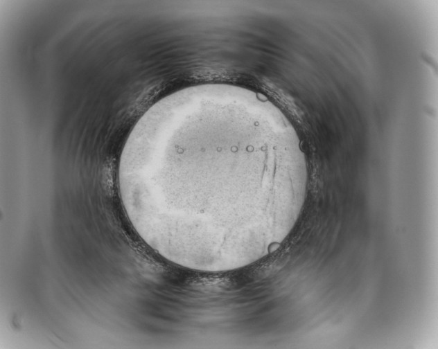 X0000095890065200802081127